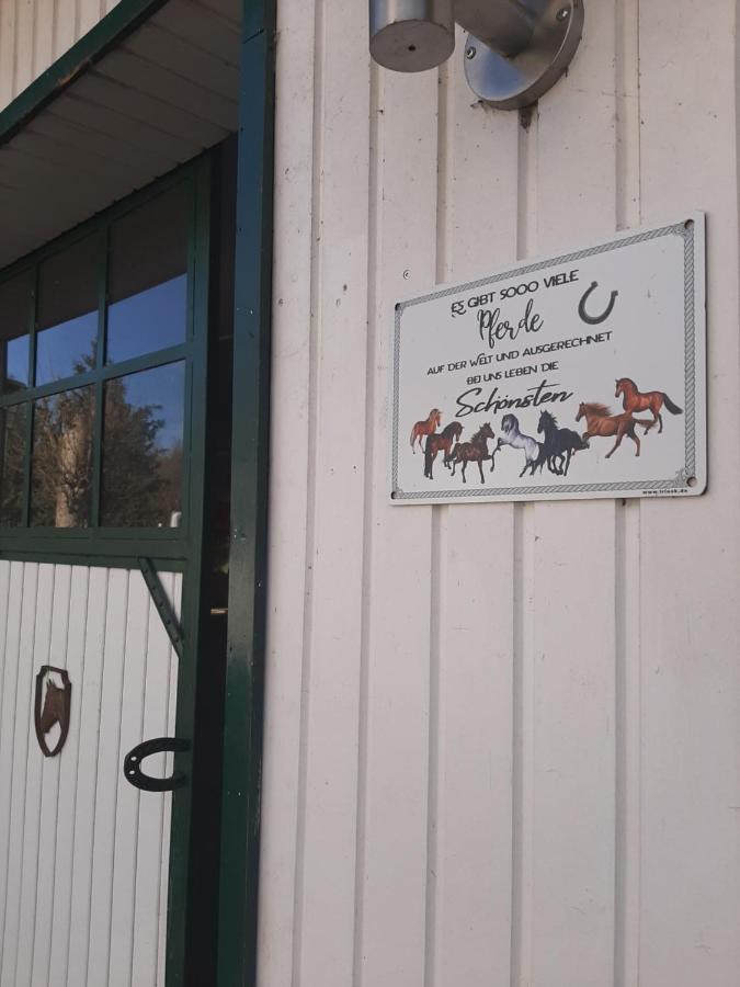 Der Perfekte Ausgangspunkt Konigerode Exterior foto